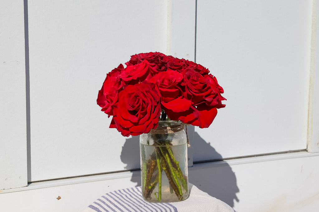 Classic rose dome – study in restraint and precision