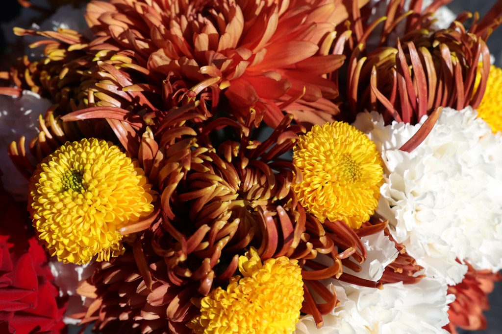 Texture and form study – autumn palette Design